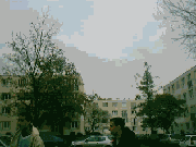 tr for